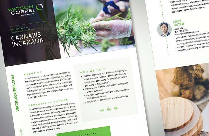 Watson Goepel brochure