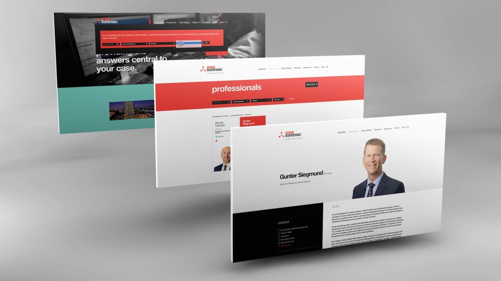 MEA Forensic law firm website lawyer bios