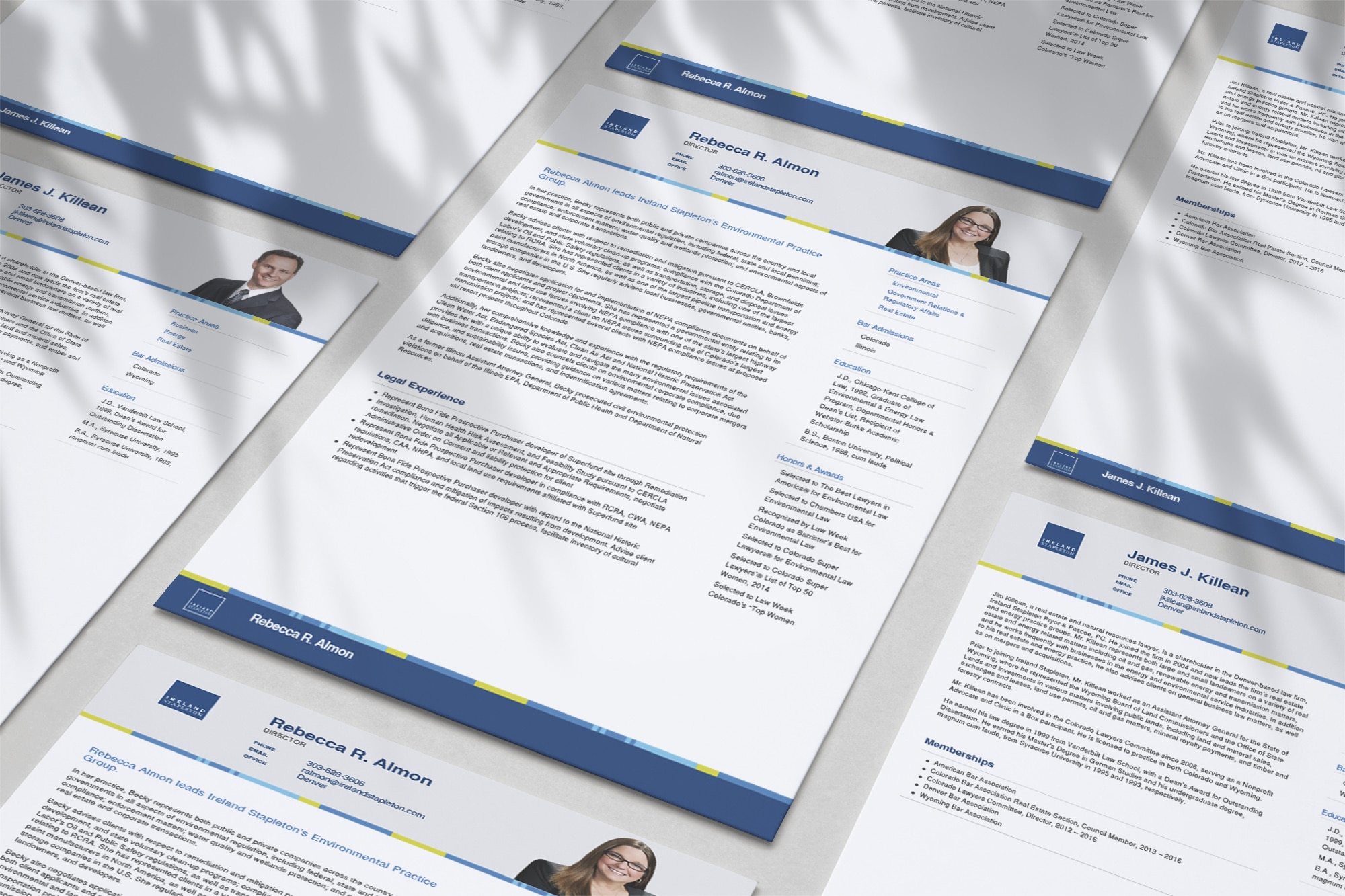 Ireland Stapleton law firm lawyer bios with PDF printouts