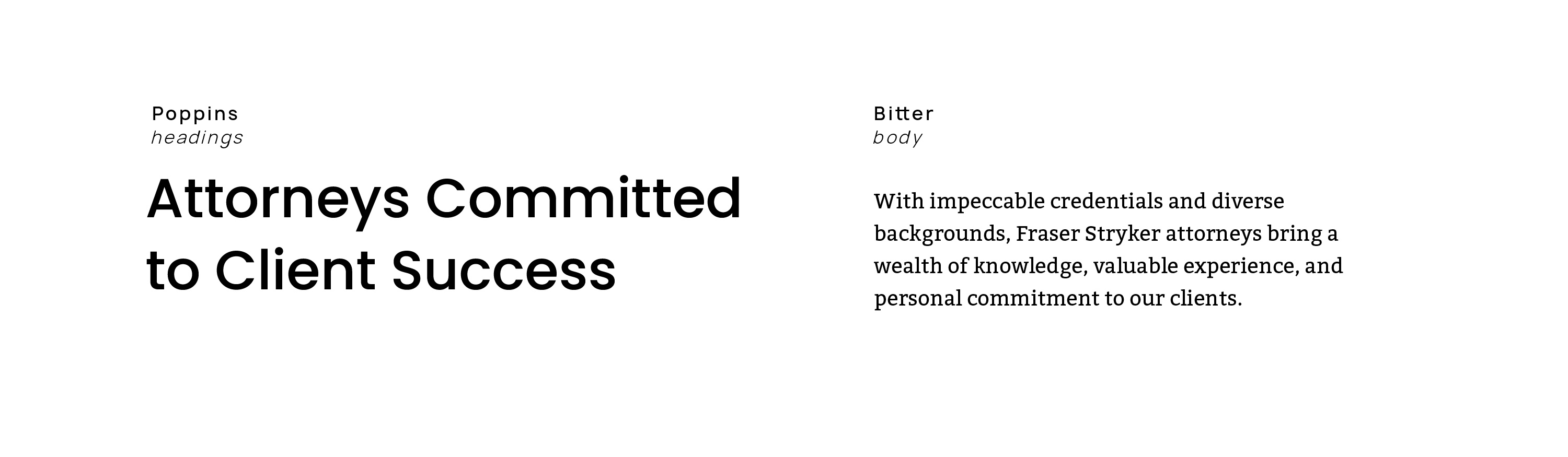 Fraser Stryker law firm brank fonts and typography