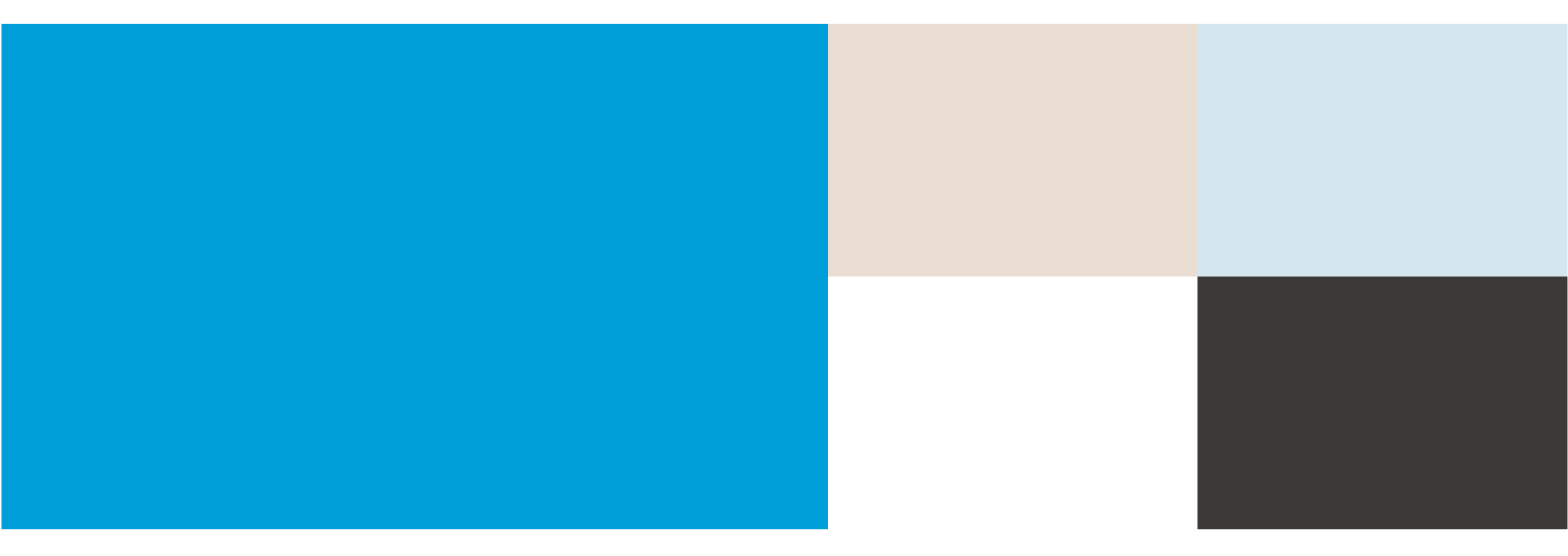 Larson law firm branding color palette