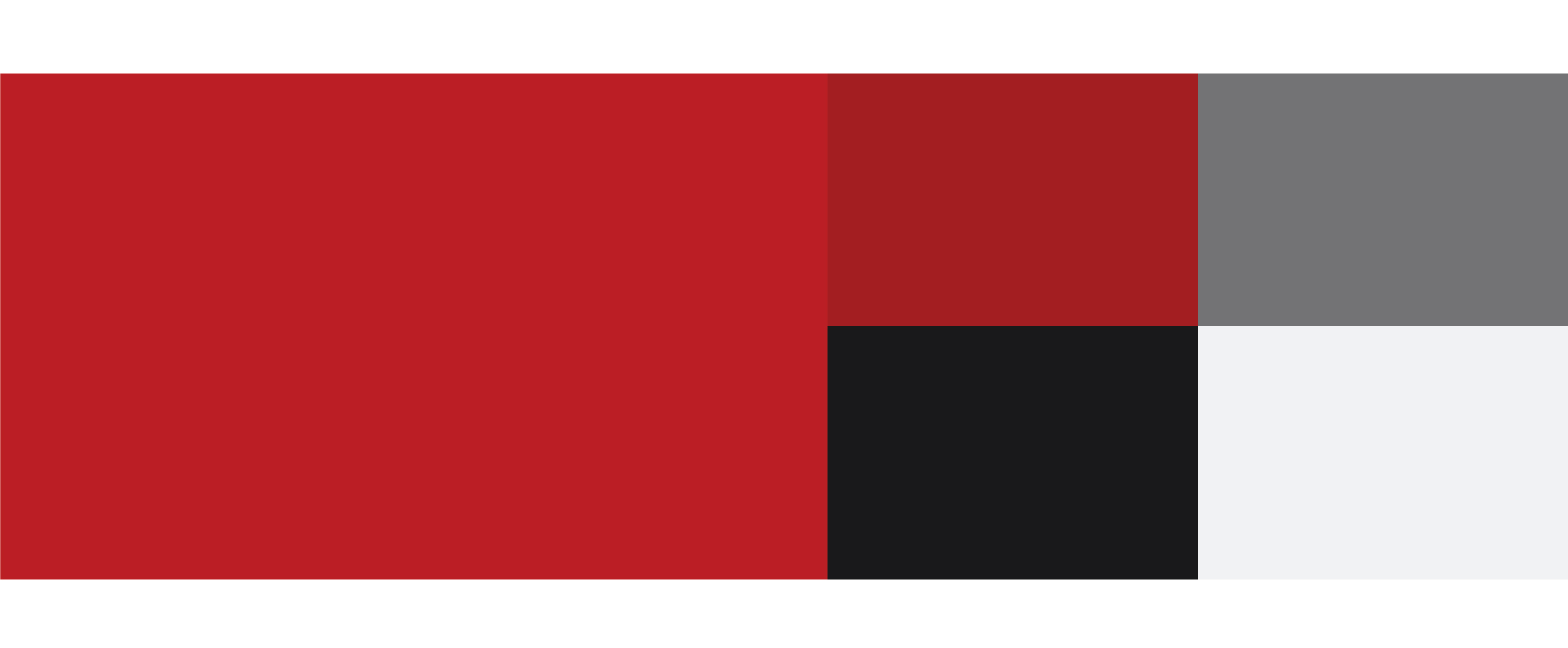 Rush Ihas law firm branding color palette